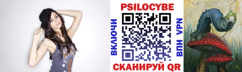 Псилоцибиновые грибы Cubensis Орск